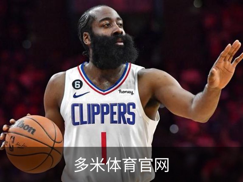 多米体育官网介绍